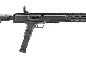 Ruger LC Carbine